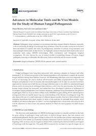 Choose the most popular programs from developer tools. Pdf Advances In Molecular Tools And In Vivo Models For The Study Of Human Fungal Pathogenesis