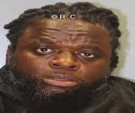 Everyone's best friend