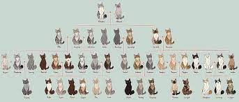 White And Willow Family Tree By Annmy Warrior Cats Fan Art Warrior Cats Warrior Cat