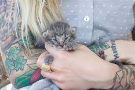 Bottle Feeding Kitten Lady