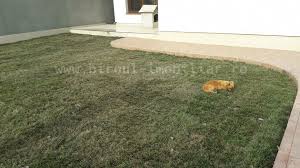 Gara eforie nord se află la 3 km de hotelul delfinul, iar aeroportul internațional mihail kogălniceanu este situat la 39 km. Zu Verkaufen Haus 151 M Steaua De Mare Eforie Nord