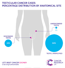 testicular cancer incidence statistics cancer research uk