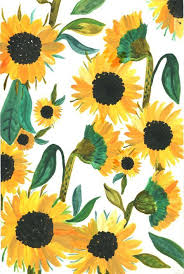 Sunflowers Jpg Sunflower Iphone Wallpaper Sunflower Wallpaper Sunflower Painting A collection of the top 65 sunflower desktop wallpapers and backgrounds available for download for free. sunflower iphone wallpaper sunflower