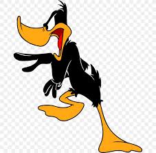 Daffy duck with his first appearance in the toon â€œporkyâ€™s duck huntâ€ in 1938, presents a different kind of cartoon character to replace the traditional characters, who were popular earlier in the. Daffy Duck Donald Duck Bugs Bunny Elmer Fudd Porky Pig Png 800x800px Daffy Duck Animated Cartoon
