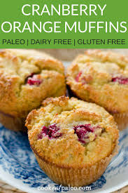 Paleo Cranberry Orange Muffins Gluten Free Grain Free Dairy Free Recipe Cranberry Orange Muffins Paleo Recipes Dessert Orange Muffins