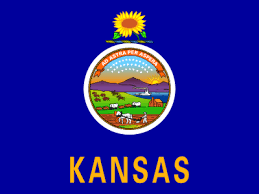 Top divorce service in kansas. Divorce Papers In Kansas Filing For Divorce In Ks