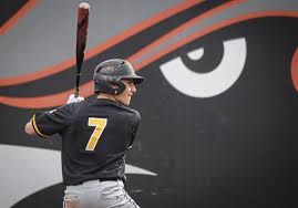I'm competing against millionaire trust fund recipient dean. Piaa Baseball Semifinal Preview Freshman Cole Young Fueling North Allegheny Pittsburgh Post Gazette