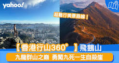 “香港飛鵝山”的图片搜索结果