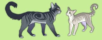 Star Crossed By Climbtothestars Deviantart Com On Deviantart Warrior Cats Art Warrior Cat Warrior Cats