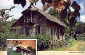 Image result for Hilsenbergia petiolaris