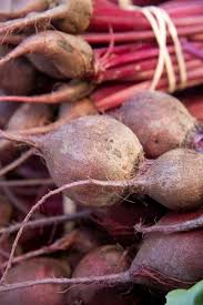 They are typically grown as annuals in moist. Beet Root Problems Learn Why Beets Have Good Tops But Small Roots