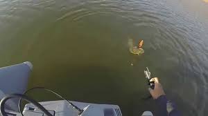 Raul pe care am crescut, am invatat sa pescuiesc si care se zbate sa reziste braconajului. Gume Sau Reactive Pentru Stiuca Spinningclub Ro