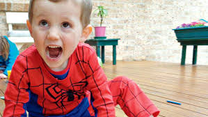 William Tyrrell inquest: Paedophile's ex-wife accuses him of lying about  whereabouts