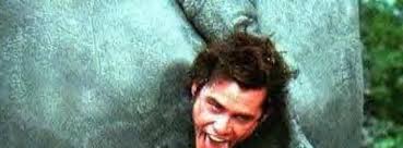 Pet detective ace ventura comes out of retirement to locate a stolen sacred white bat to prevent two feuding tribes from resuming their bloody war. Ace Ventura When Nature Calls Movie Fanatic