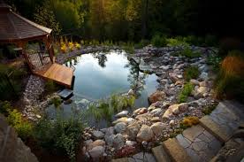17 Incredible Natural Pool Ideas Perfect For Your Backyard