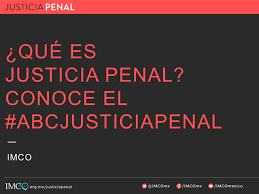 Eduardo gerome, abogado constitucionalista sobre condena de siete años de cárcel al expresidente argentino carlos menem. Imco Que Es Justicia Penal Conoce El Abcjusticiapenal