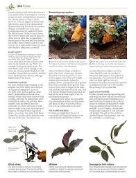 One guide to help you know when to prune is to watch for forsythia to bloom. Pruning And Training Revised New Edition What By Agrihorti Issuu