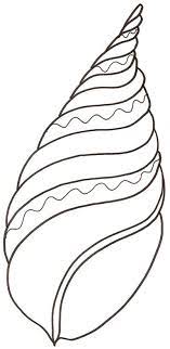 coloriage d un coquillage pointu tete a modeler dessin roi des bas