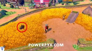Pokemon Go Is Overdue One Key Change To Shiny Pokemon