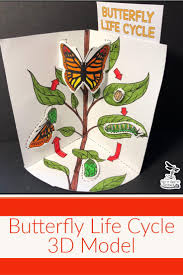 Butterfly Life Cycle 3d Model Did You Know That When Your Students Are Developing And Using Butterfly Life Cycle Life Cycles Butterfly Life Cycle Preschool