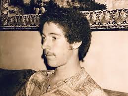 Martinelli Family History