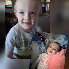 What should I do to save my struggling rose bush?