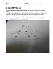 Savesave building a pedigree activity answer key for later. Lab Activity 11 Project2 1 Doc Name Unhs I D Lab Activity 11 Complete Mini Lab 1 Investigate Human Pedigree On Page 300 Of Your Textbook In The Course Hero