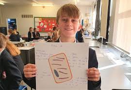 We did not find results for: Year 7 Model Cell Project Bridgnorth Endowed School
