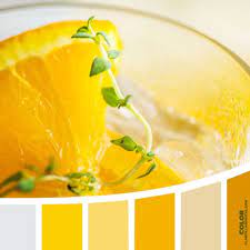 Plantillas Digital Plantillasdigitales Instagram Photos And Videos Movie Color Palette Color Catalog Color Palette