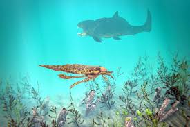 Maybe you would like to learn more about one of these? Saat Spons Trilobita Dan Ikan Tanpa Rahang Menguasai Bumi