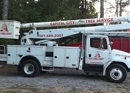 North little rock bat removal from homes and buildings in and around north little rock, ar. 3 Best Tree Services In Little Rock Ar Expert Recommendations