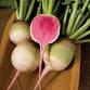 Garden to Table: Eating the Rainbow