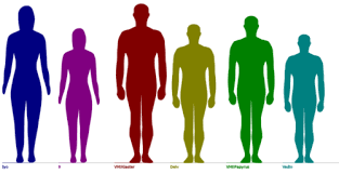 height reference tumblr