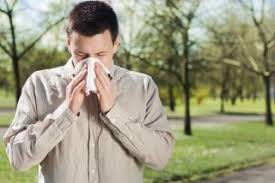 Sniffle Detective 5 Ways To Tell Colds From Allergies