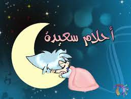 صور تصبحون على خير good night صور احلام سعيدة اخبار العراق night love nighty night flower wallpaper