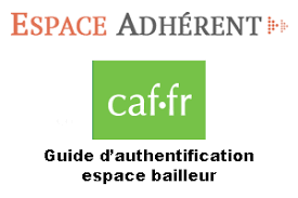 Besoin d'aide pour vos démarches en. Qlweb Caf Fr Espace Bailleur Se Connecter Au Service De Teledeclaration
