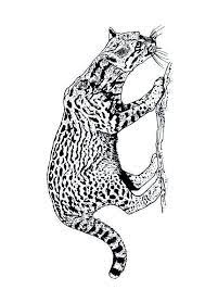 page 117 sur 282 hugolescargot com ocelot coloriage chat de tracteur