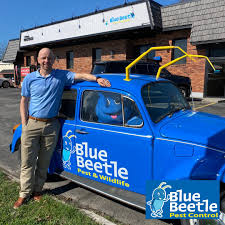 Homeowners and business owners have their fair share of ants, spiders, bed bugs, rodents, wasps, etc. Blue Beetle Pest Control Bluebeetlepest Twitter