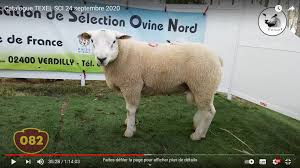 Participating the event is possible for all catamaransailors form all over the world. L5nog2xw Ulvlm