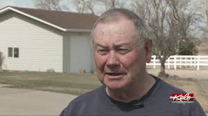 Pangolin patrol: Volunteer team rescues endangered animals