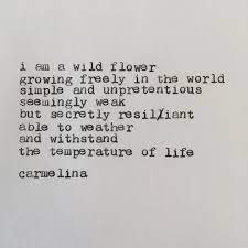 And now it could close, says debora porrà, the mayor of a nearby town that the unit serves. Wildflower A Poem Poem Poems Orignalpoem Poetry Typedpoem Botanicalpoems Wildflower Poet Lifeofapoet Pretty Words Cool Words Nature Quotes