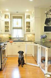Check spelling or type a new query. Dog On Top Of Kitchen Cabinets Coronavirus Meme Black Kitchen Ideas