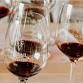 Sip Like a Judge Wine Education Class event image