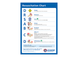 Large Cpr Chart Surf Life Saving Nsw