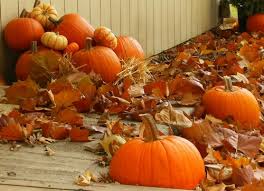 Sep 20, 2011 · the fall equinox represents the balance between the seasons as well as the balance between light and dark. Pumpkins Autumn Photo 35540960 Fanpop