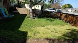 Check spelling or type a new query. California Native Bentgrass Or Fine Leafed Fescue No Mow Sod