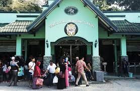 Nama kebun binatang ini adalah gardens and menagerie of the zoological society of london, dan sistem pembayaran tiket untuk bisa masuk ke dalam kebun binatang mulai diberlakukan sembilan belas tahun setelah kebun binatang tersebut diresmikan, yaitu pada tahun 1847. Harga Tiket Kebun Binatang Pematang Siantar Spot Liburan Asri Dan Edukatif Penginapan Net 2021