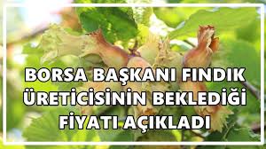 Ordu Gazete - News update