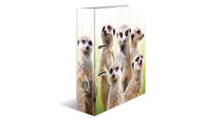 Bottle feeded and tame.socialized in family with dogs and other cats. Herma Motiv Ordner A4 Exotische Tiere Erdmannchentruppe Online Bestellen Muller