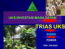 Red micro stereo profil perusahaan ppt bagan. Uks Menciptakan Sekolah Sehat Berkualitas Ppt Download